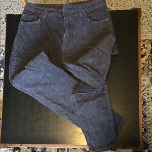 Patagonia blue Corduroy Pants